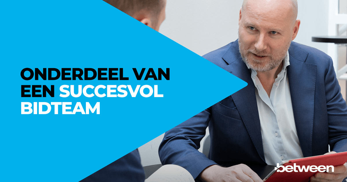 senior consultant bidteam